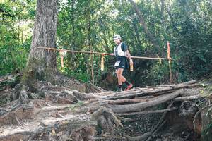 BIB: 
                            <button type="button" onclick="openModal(27747653)" class="btn btn-primary btn-sm float-right btn-popup" data-toggle="modal" data-target=".modal-high-quality">
                        <i class="fas fa-shopping-cart"></i> Add to Cart
                    </button>
                                            <button type="button" onclick="isThisMe(27747653, true)" class="btn btn-success btn-sm float-right btn-popup btn-isme hidden" data-toggle="tooltip" data-placement="bottom" title="นี่คือรูปของคุณใช่ไหม คลิกที่นี่เพื่อเอาเข้าอัลบั้ม">
                        <i class="fas fa-plus"></i> Add to album
                    </button>
                    <button type="button" onclick="isThisMe(27747653, false)" class="btn btn-warning btn-sm float-right btn-popup btn-isnotme hidden">
                        <i class="fas fa-ban"></i> Remove from album
                    </button>